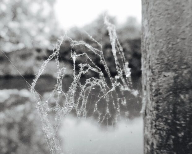 La cloaca degli untori