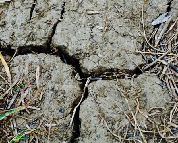 Tenerezza o deretanica brezza?