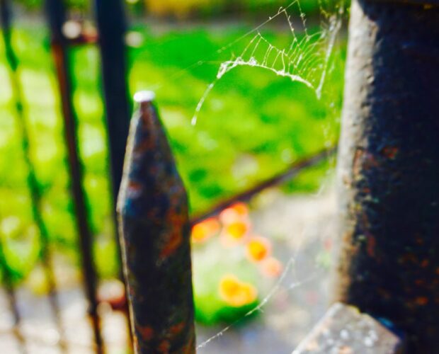 Il sub-nulla una ipotesi assurda?