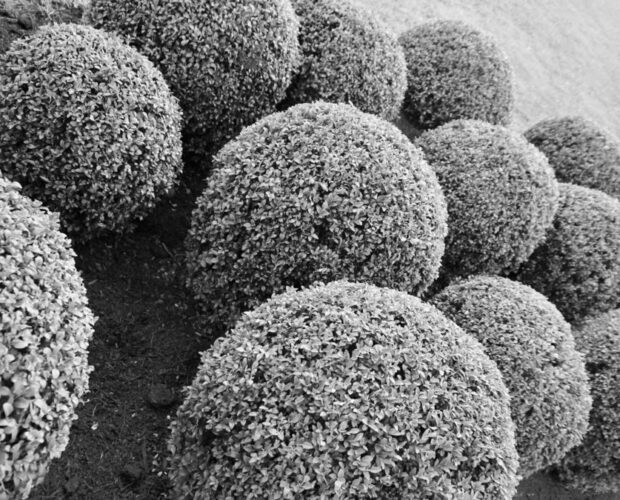 Dion Fortune e la Cabala mistica