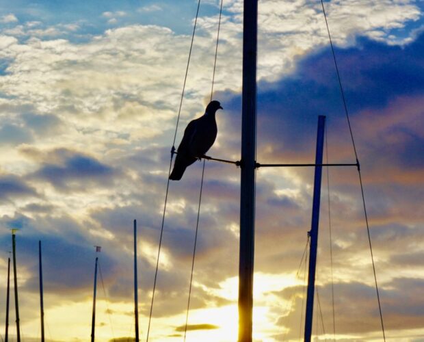 La Grande Bellezza, un film di Paolo Sorrentino
