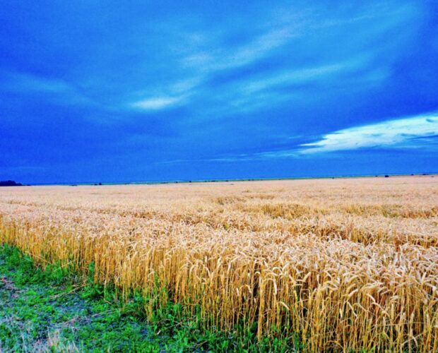 Il destrutturalismo del centro