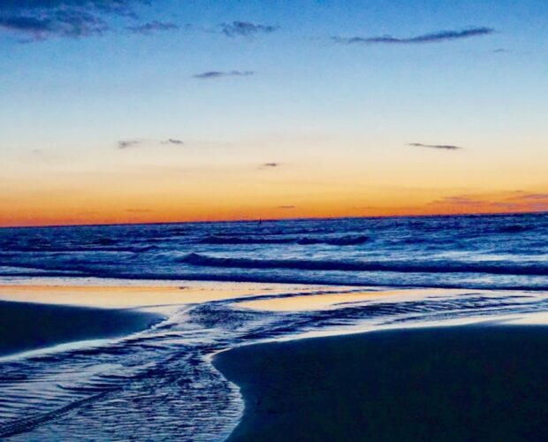 Il patriarca delle orchidee e la guerriera