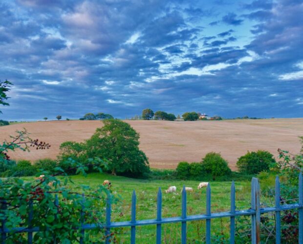 Pistis (da Viaggio senza biglietto)