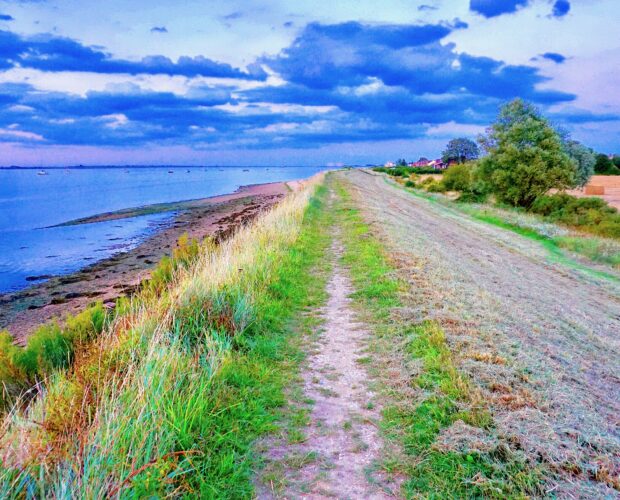 A te che veneri megafoni impostori