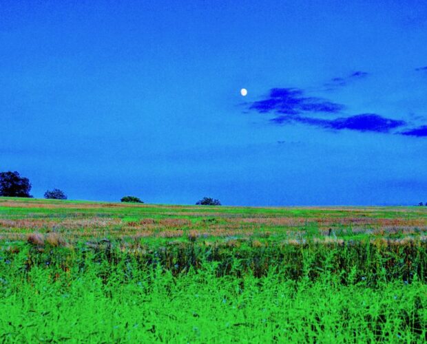 Vampiro (Ultrafanica)