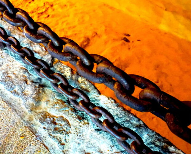 Il suonatore di violino (da Viaggio senza biglietto)