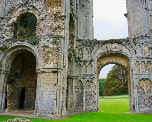 Funzione attiva del batillum