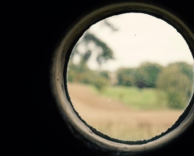 Napolitano, Lobby "No Brexit" (III)