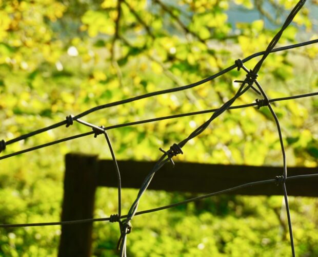 Fate a pezzi le poesie, le apologie