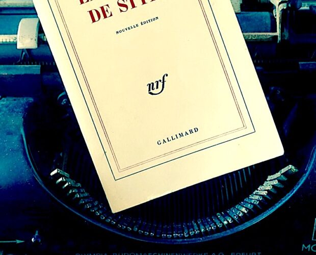 Raymond Queneau, esercizi, stile