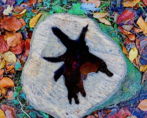 Quando la borghesia viaggia e tedia