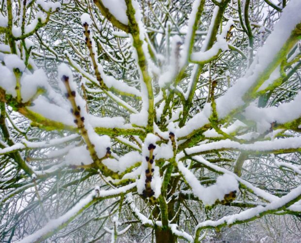 Il circolo Monsieur Doré