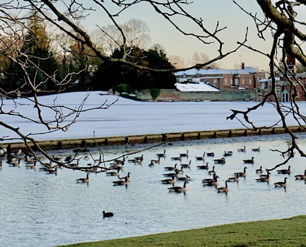 Maestro pugliese Vincenzo Mastropirro