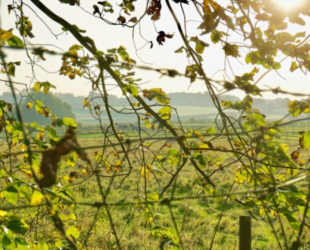 A tutto il resto intorno