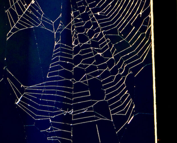 Pirandello relativista? Non scherziamo!