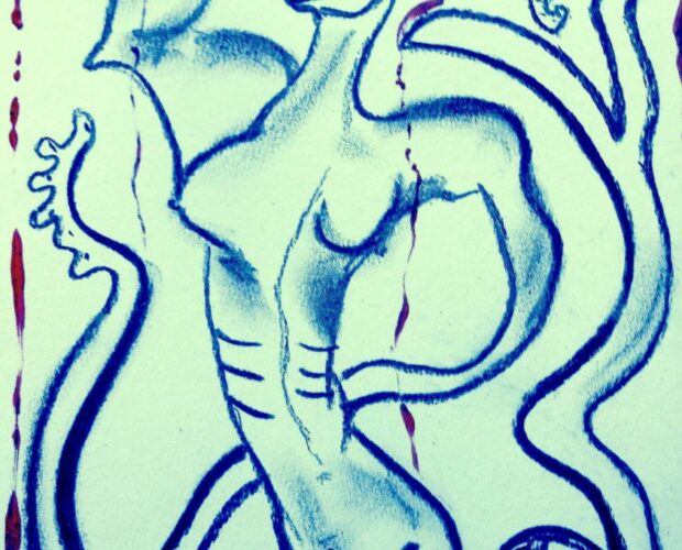 La civetta è un cigno dalla bocca stretta