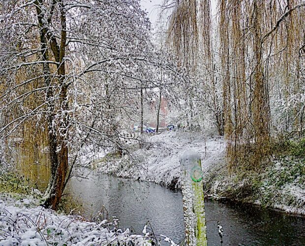 Bagni di Lucca, asimmetrie montaliane