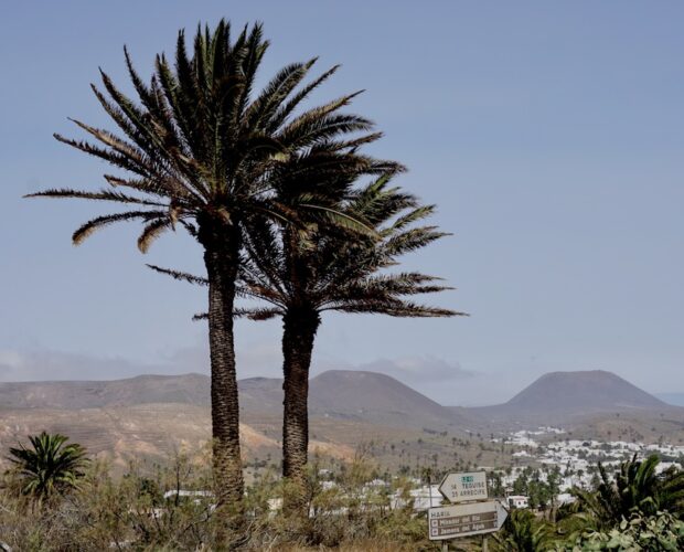 Asimmetrie spiralizzate in Montale