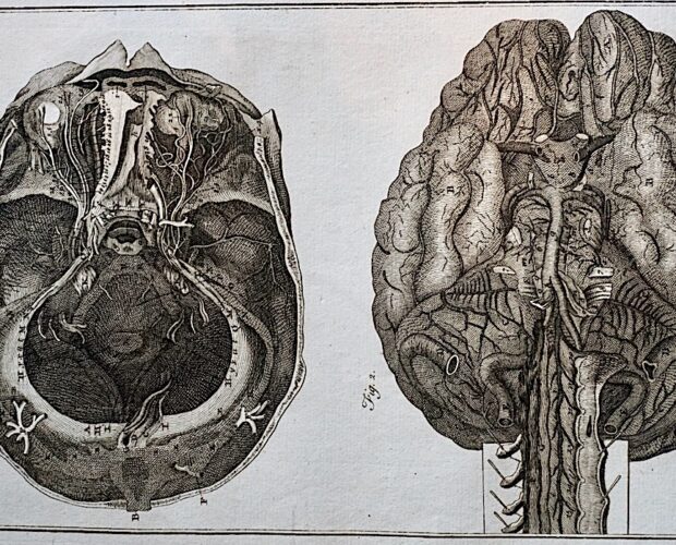 Nicola Vacca controcarica pelonastica