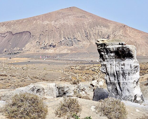Il viale dell'inerzia fiorito ad asma