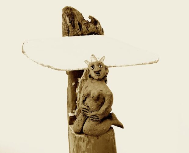 Home robot di Roby Guerra