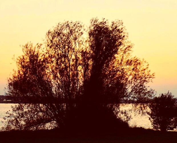 una televisione accesa ed un fantasma