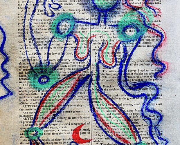 Siamo davvero alla guerra dei piccioni