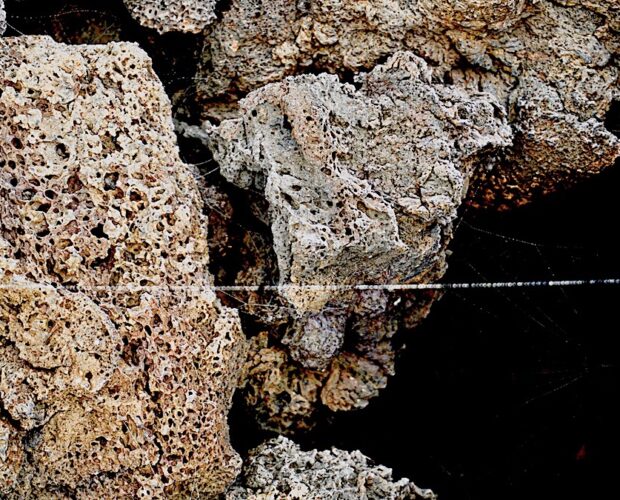 finti libri per finti lettori che non leggono