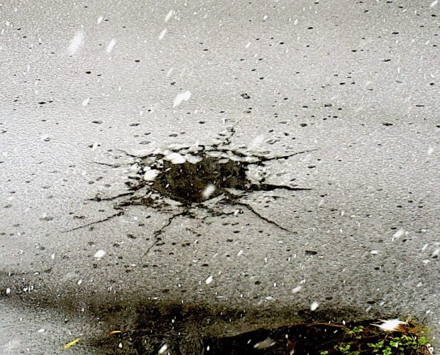 La borghesia davvero non esiste