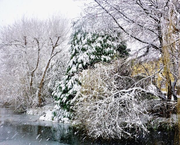 Salutavo le nostre membra dipinte