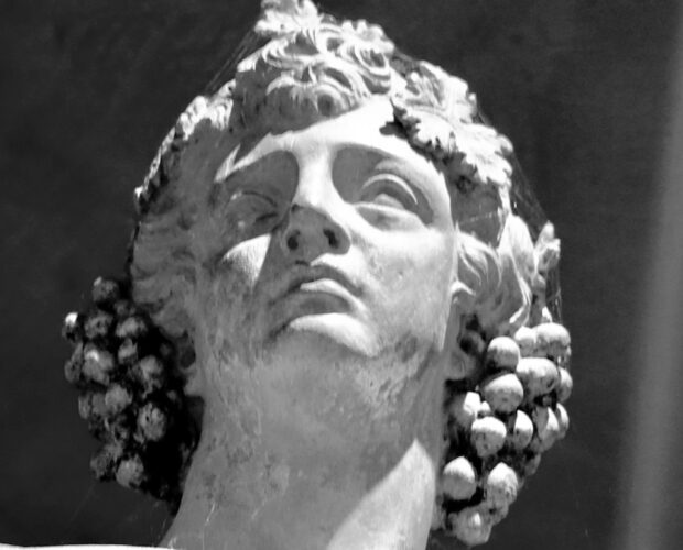 Il pesce non può stare al posto della luna