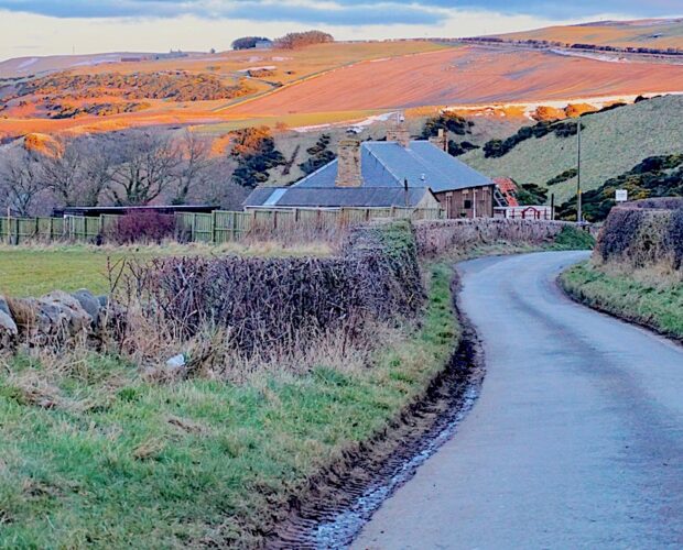 Cuore di lana e nuovo mondo pigiama