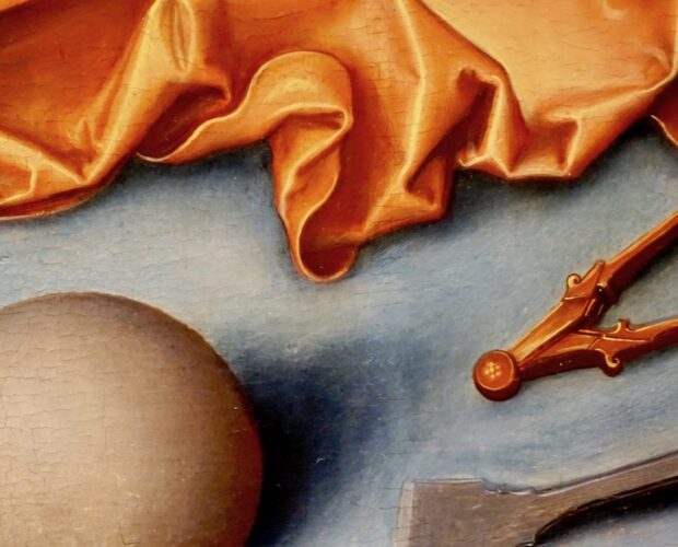 Vis roboris presenta molte irregolarità