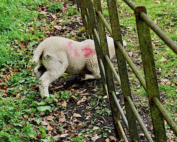 Sperperando congedi alle conclusioni