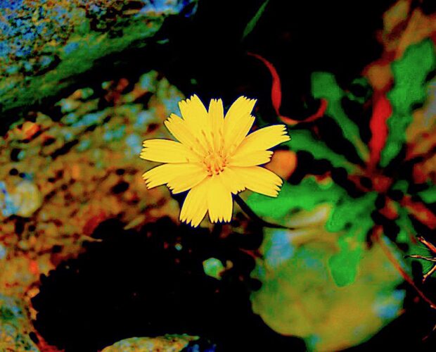 Agatha Christie, gialli, letteratura e limiti