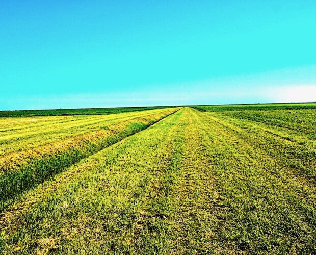 Velamento, svelamento, destrutturalismo e città ideali