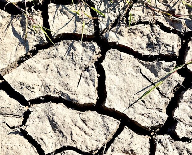 Il capodirettore è soltanto busta fritta