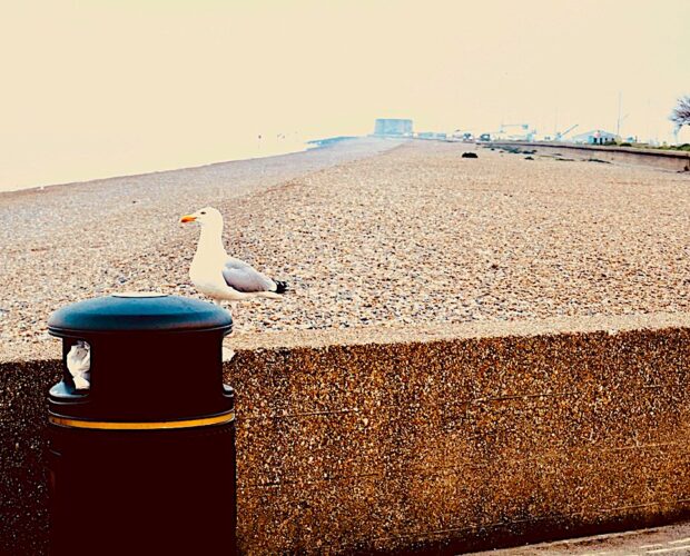 Perché un classico è un classico?