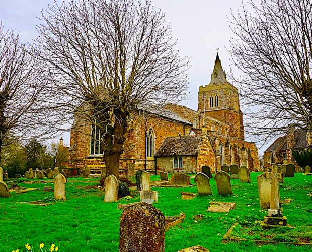 Tempi morti stupidità e opinione insindacabile