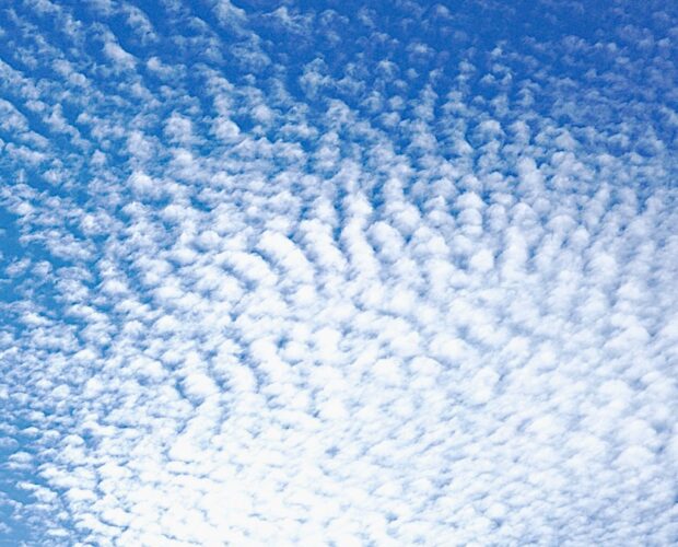 I consigli non richiesti in rete