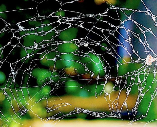 Fallimento-successo, una contro-discussione destrutturalista