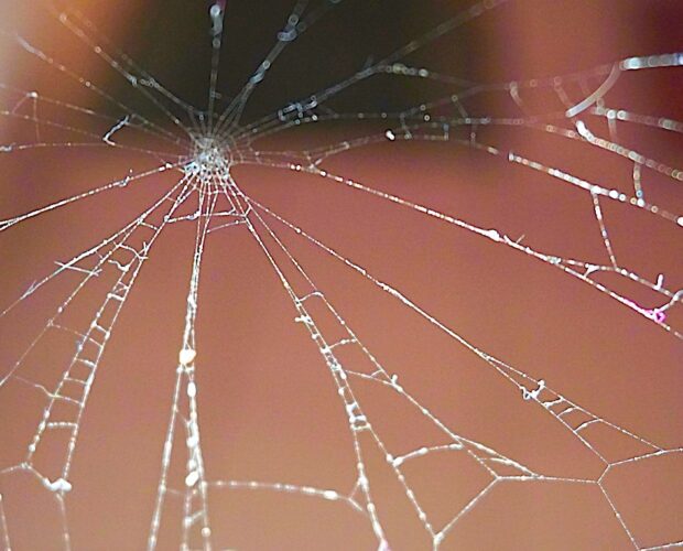 Nel centenario di Bianca Garufi