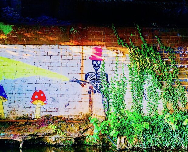 Museo del frivolo, funghi della non cultura