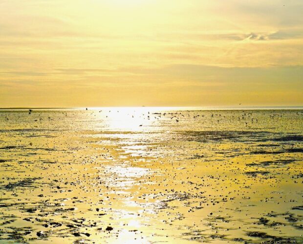 Deledda, a cento anni dall'Incendio nell'Uliveto