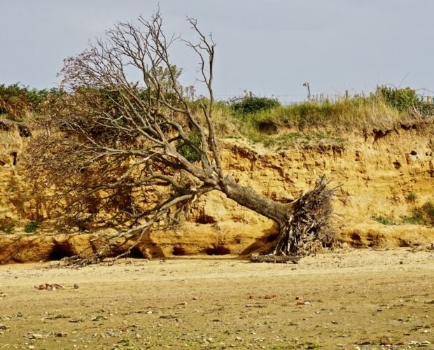 A destra dell'infinito