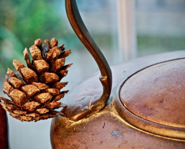 La regina bianca nel castello di carta