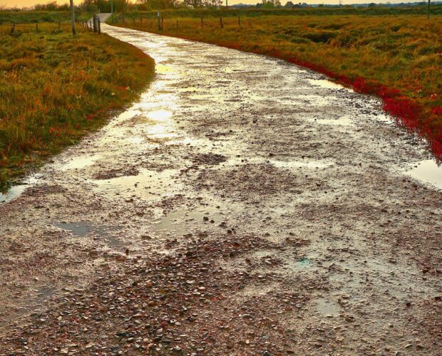 Vincenzo Cardarelli, poesia, arte