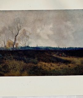 Vintage print, Danbury from the Common, 1908