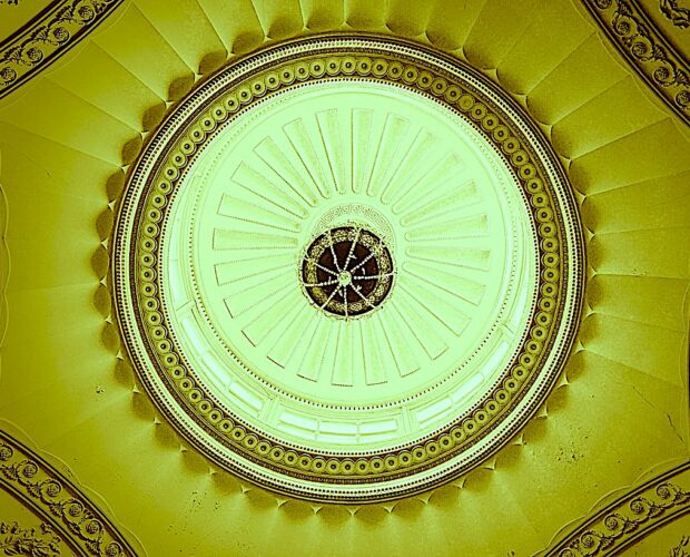 Spinoza aveva ragione, emozioni e vita cognitiva